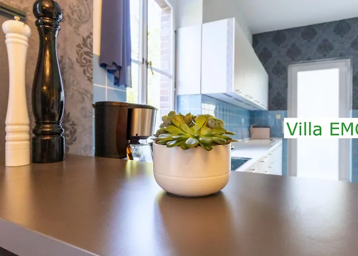 Villa Luxury Emg - Historische Mit Sauna, Spa, Garten & Grossem Essbereich Fuer Bis Zu 22 Personen Steinfurt